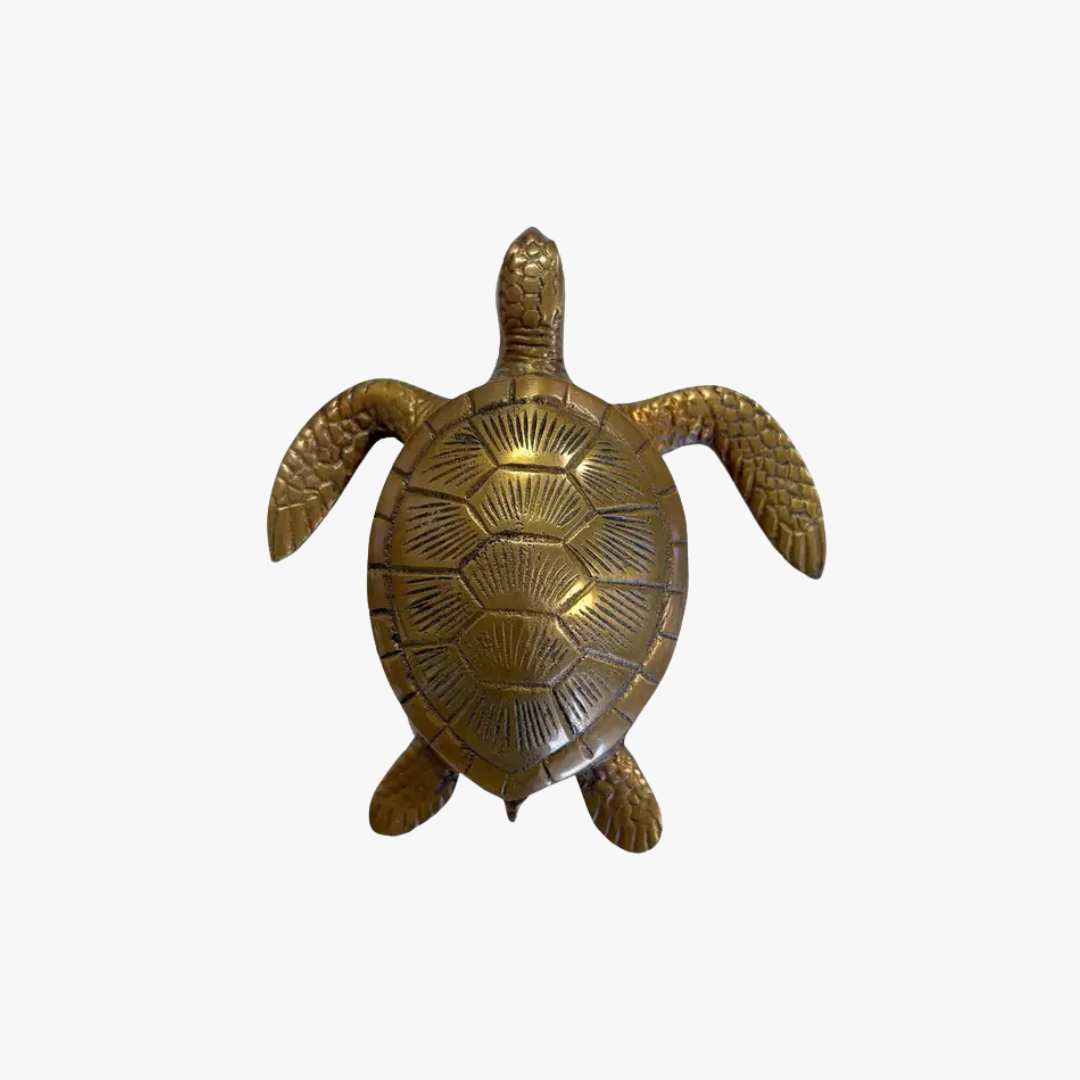 Brass Sea Turtle Paper Weight - Coastal Decor - Dear Keaton