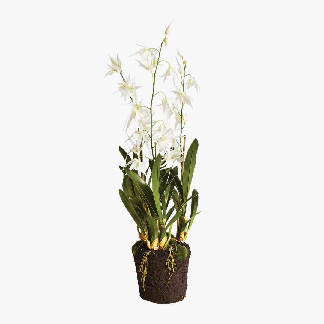 faux spider plant in pot Spider Orchid Drop-In 44"