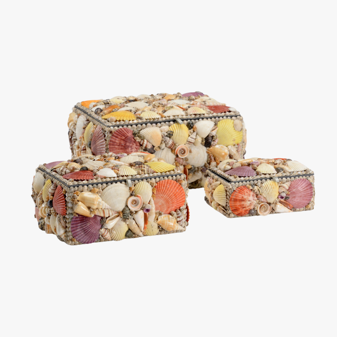 Sanibel Mixed Shell Box Set - Coastal Inspired Decor - Dear Keaton