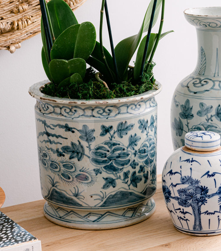 blue and white flower pot planter Blue Peacock Orchid Pot - Chinoiserie Bird Planter