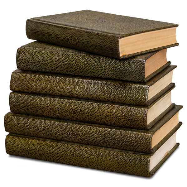 Shagreen Decorative Book Set - Olive