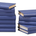 Shagreen Decorative Book Set - Blue