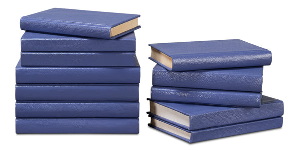 Shagreen Decorative Book Set - Blue
