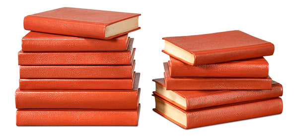 Shagreen Decorative Book Set - Orange