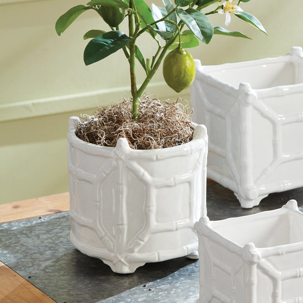 Large Cachepot Chinoiserie Bamboo Round Cachepot - White Planter - Dear Keaton