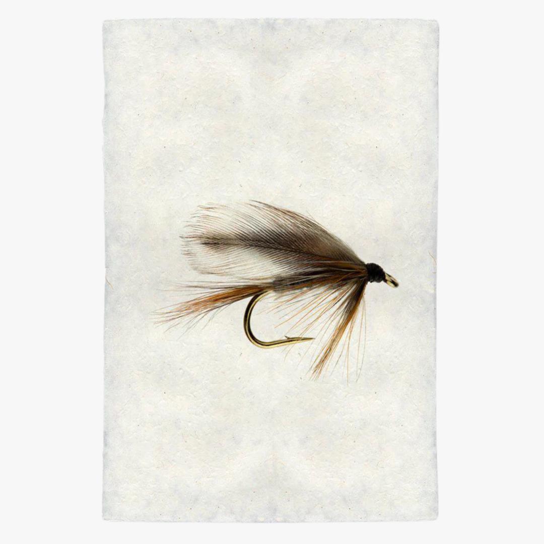 Adams Fishing Fly Print - Wall Art Prints - Dear Keaton