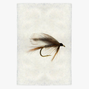 Adams Fishing Fly Print