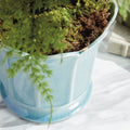 Ascot Aqua Ceramic Planter Pot Details with fern