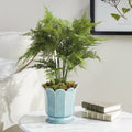 Ascot Aqua Ceramic Pot with faux fern