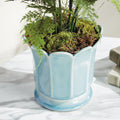 Ascot Aqua Ceramic Pot with faux fern closeup