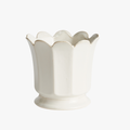 Ascot Ivory Ceramic Pot - scalloped sdge