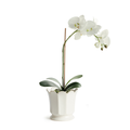 Ascot Ivory Ceramic Pot with drop in white faux orchid