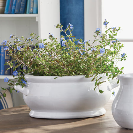 Benson Oval Cachepot styled with flowering plant