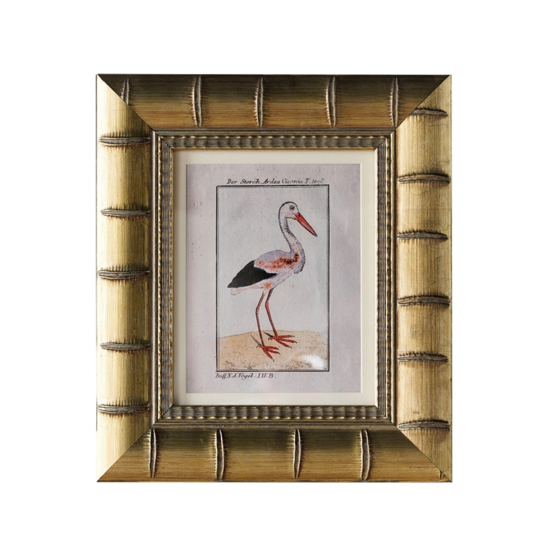 Bingham Matted Frame - 8x10