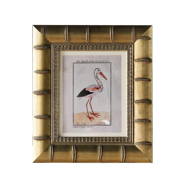 Bingham Matted Frame - 8x10