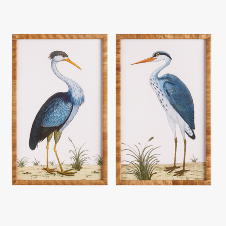 Blue Heron Framed Prints - rattan framed