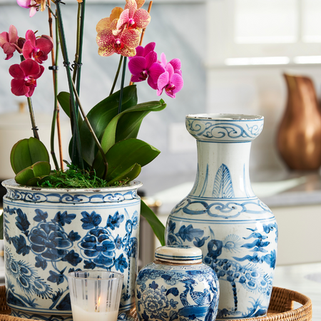 Blue Orchid Pot styled in Salina Oval Rattan Tray on kitchen counter