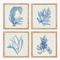 Blue Watercolor Coral Framed Prints