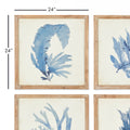 Blue Watercolor Coral Framed Prints dimensions