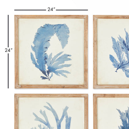 Blue Watercolor Coral Framed Prints dimensions