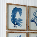 Blue Watercolor Coral Framed Prints styled - closeup on white paneled wall