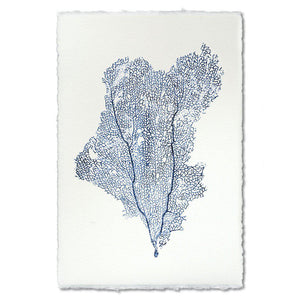 Sea Fan 1 Print