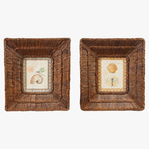 Braided Water Hyacinth Frame Set