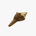 Brass Conch Shell Paper Weight