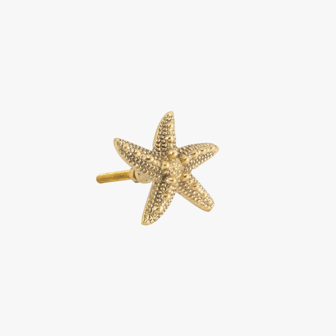 Brass Starfish Knob