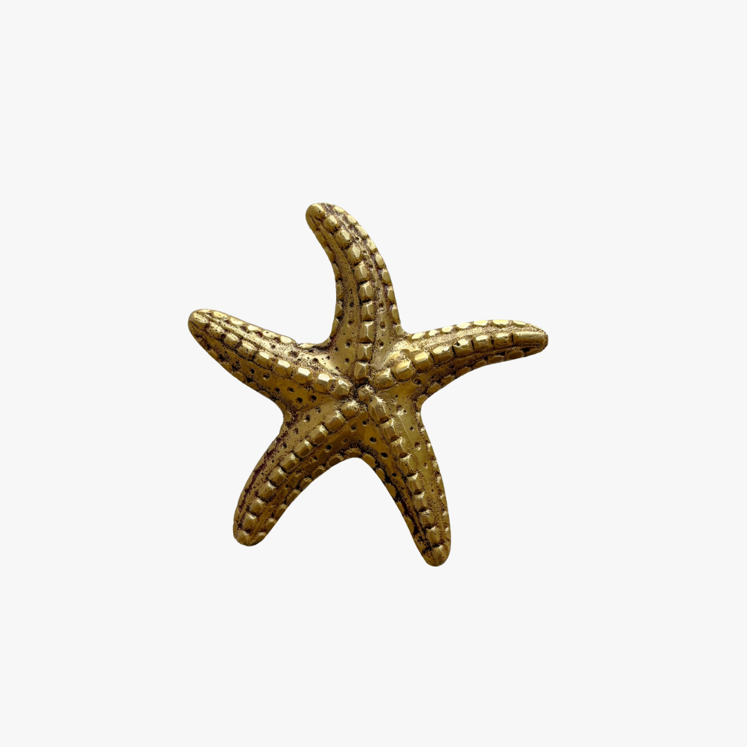 Brass Starfish Paper Weight