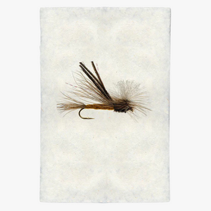 Bugmeister Fishing Fly Print