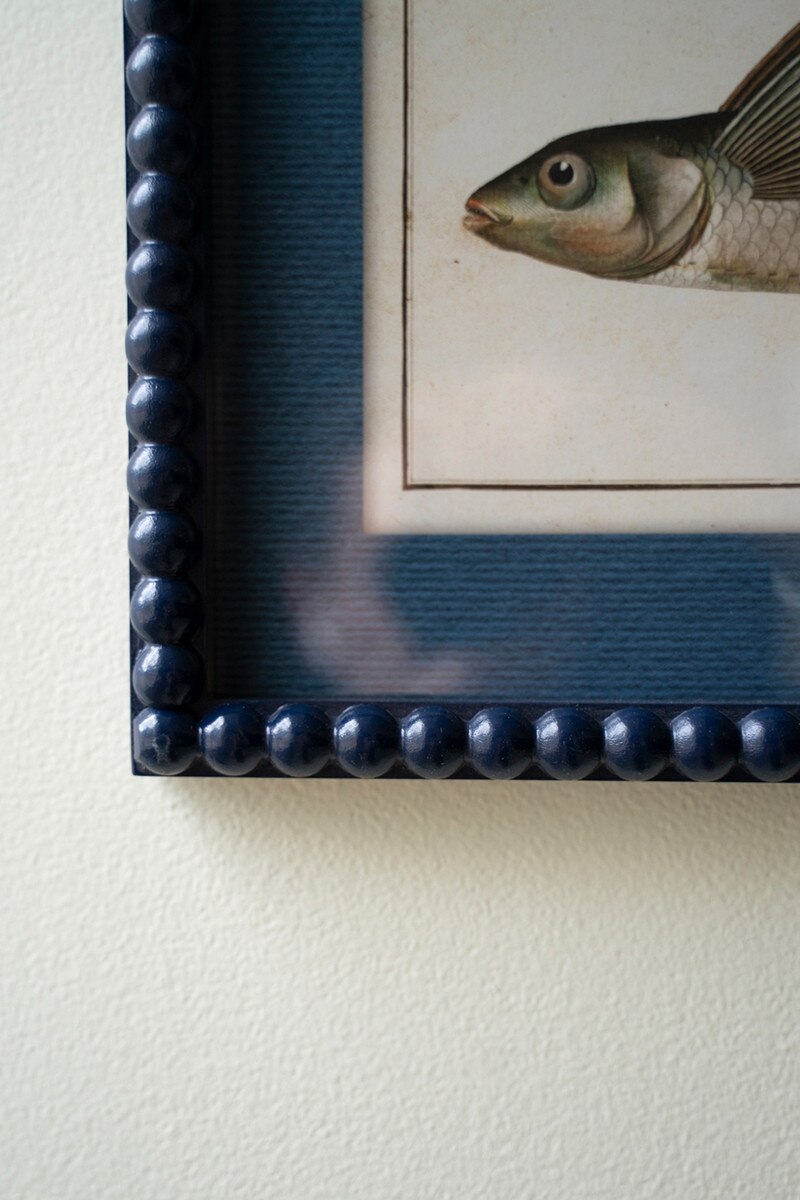 Framed Fish Prints - Beaded Frame Closeup