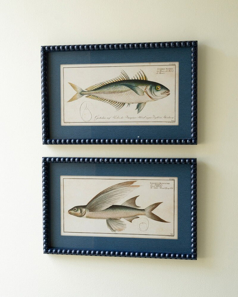 Framed Fish Prints with Navy Blue Beaded Frames