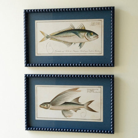 Framed Fish Prints with Navy Blue Beaded Frames
