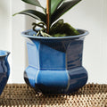 Calixte Blue Planter with orchid