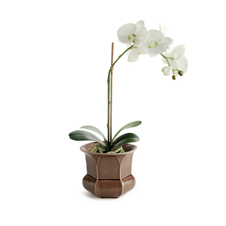Calixte Brown Planter with white orchid