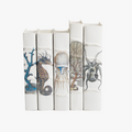 Coastal Curiosities Book Set