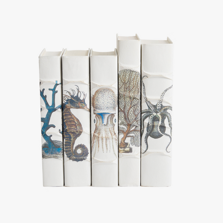 Coastal Curiosities Book Set