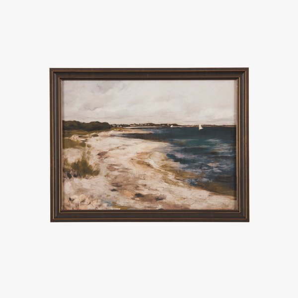 Coastal Landscape Framed Print