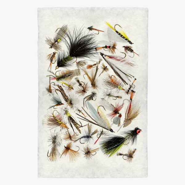 Collected Fishing Flies Print