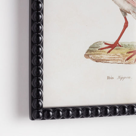 Colorful Shorebird Study - bobbin frame closeup
