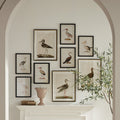 Colorful Shorebird Study styled with sandpiper framed prints