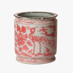 Coral Peacock Orchid Pot