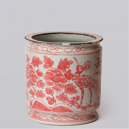 Coral Peacock Orchid Pot with rustic edges