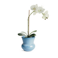 Dabney Chambray Blue Stoneware Pot with white orchid