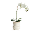 Dabney Ivory Stoneware Pot with white orchid