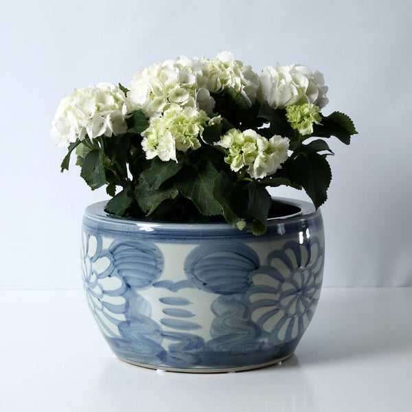 Dahlia Bowl with hydrangea plant