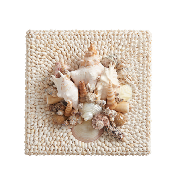 Embellished Sanibel Shell Box Details