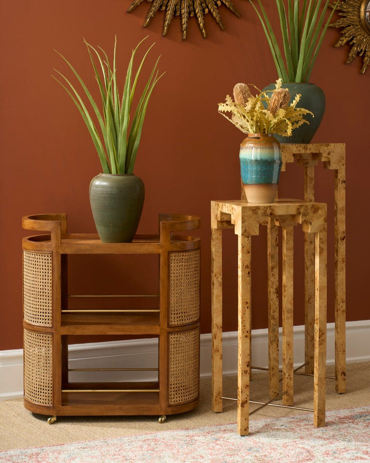 Falls Burl Wood Pedestal Plant Stands styled