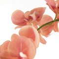 Faux Coral Phalaenopsis Orchid 30" Drop-In bloom closeup